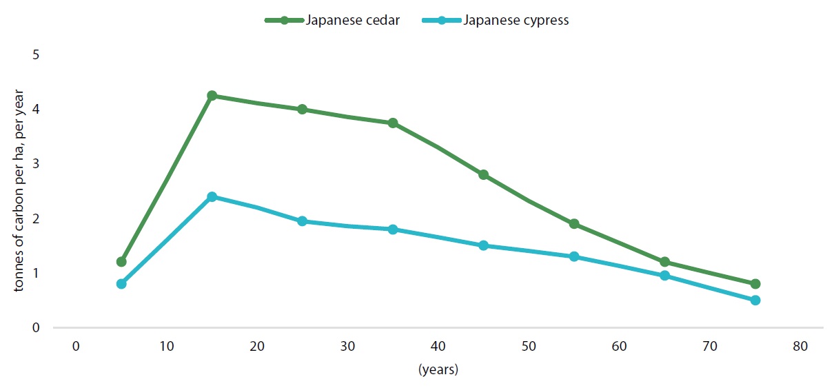Chart 3: Changes in CO2 absorption capabilities of cedar and cypress by age