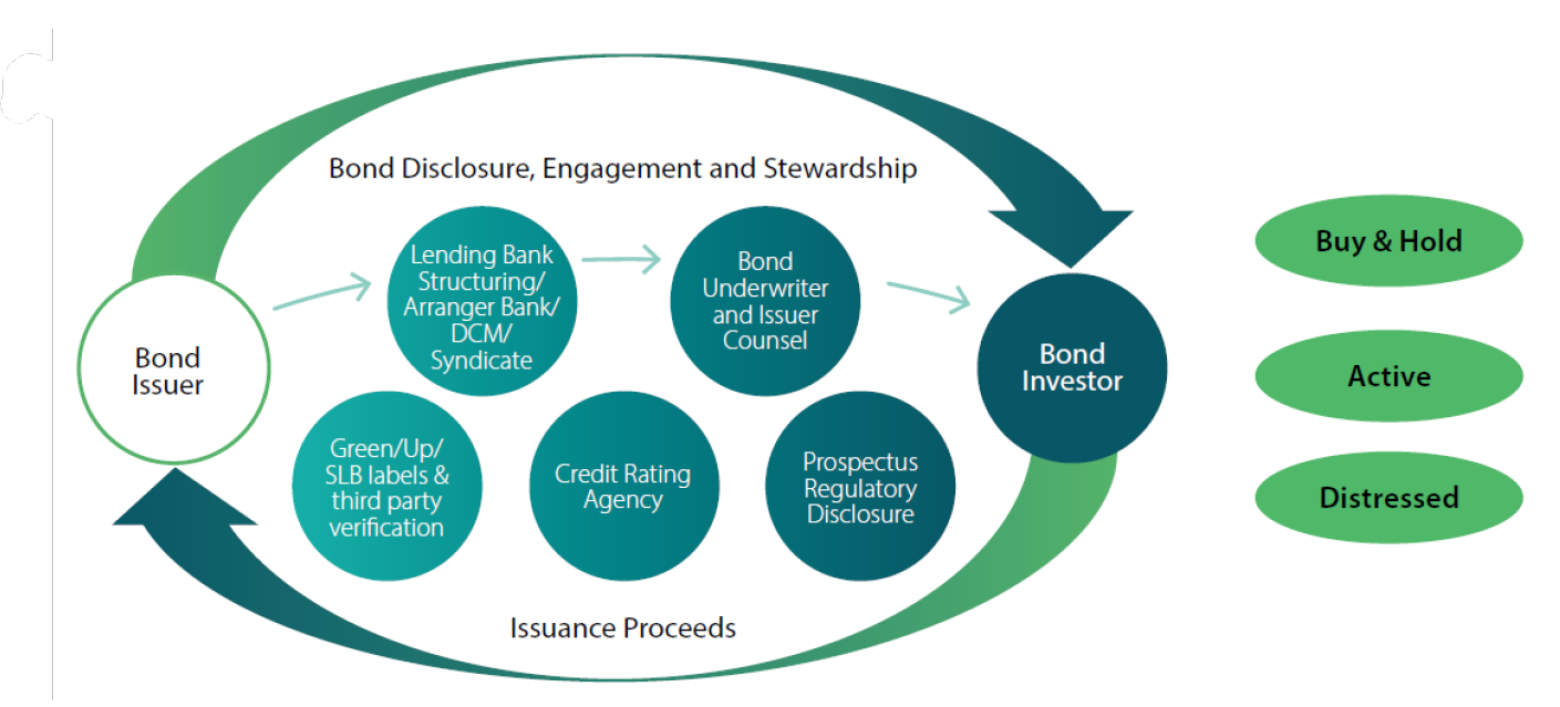Chart 3: Bond market ecosystem